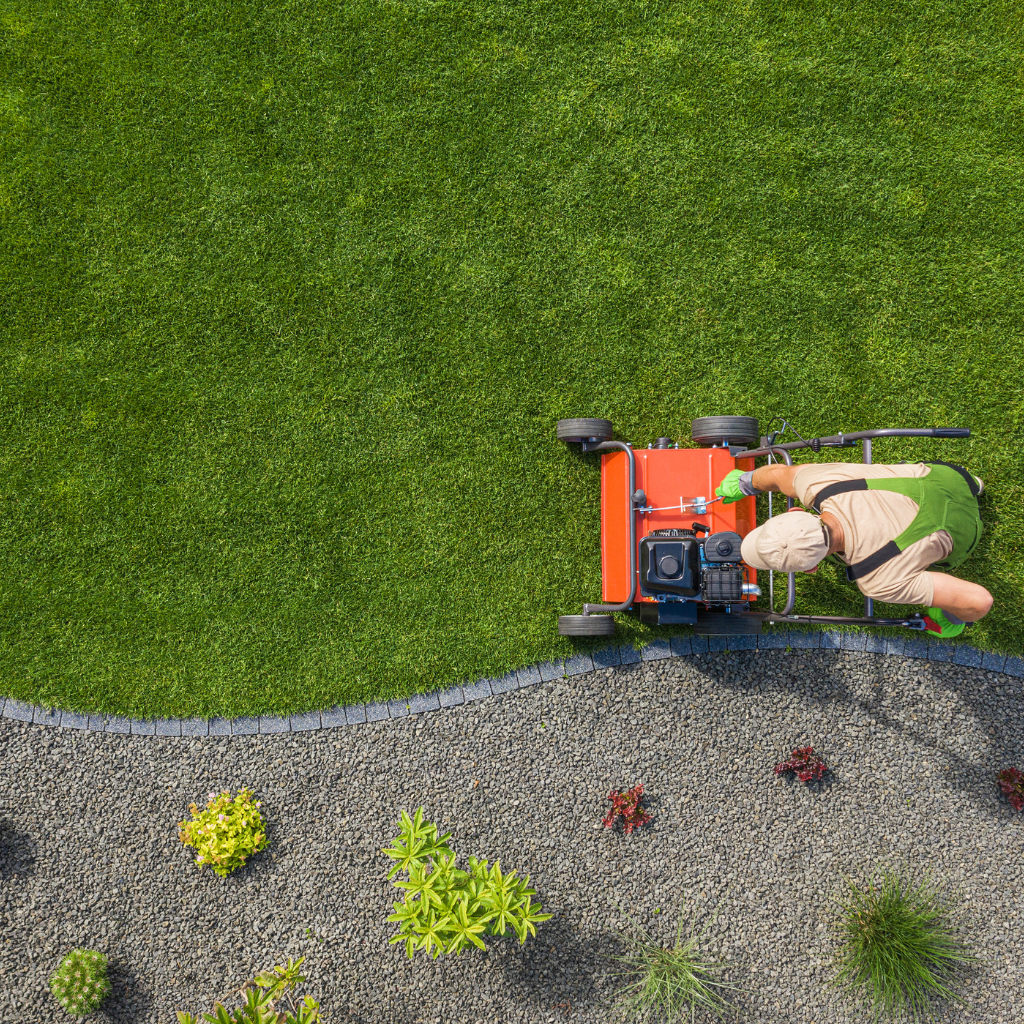 professional-landscape-maintenance-in-dubai