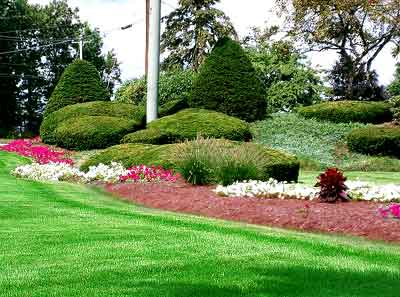 Landscape Maintenance Services offer Fantastic Landscape Design