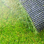 Artificial Grass: The Ultimate Summer Solution for Low-Maintenance Gardens in Dubai