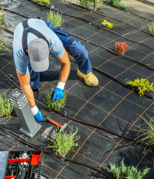 Summer Drip Irrigation Systems for UAE Gardens: Efficient Watering Solutions