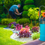 Organic Pest Control for UAE Gardens in Summer: Safe and Effective Solutions