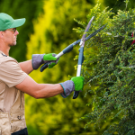 Why Regular Garden Maintenance is Crucial During the UAE Summer