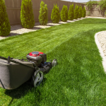 How to Keep Your Lawn Green in the UAE’s Scorching Summer: Expert Tips