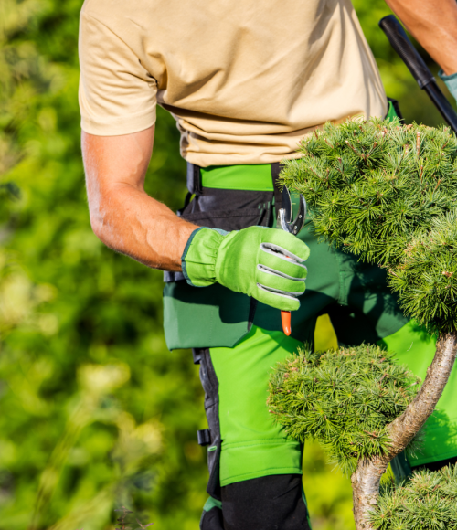 Common Summer Gardening Mistakes in the UAE and How to Avoid Them