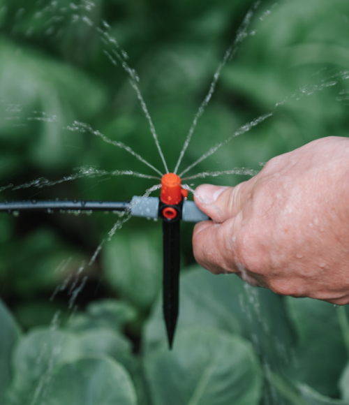 Why Summer is the Right Time to Install Drip Irrigation Systems in Dubai