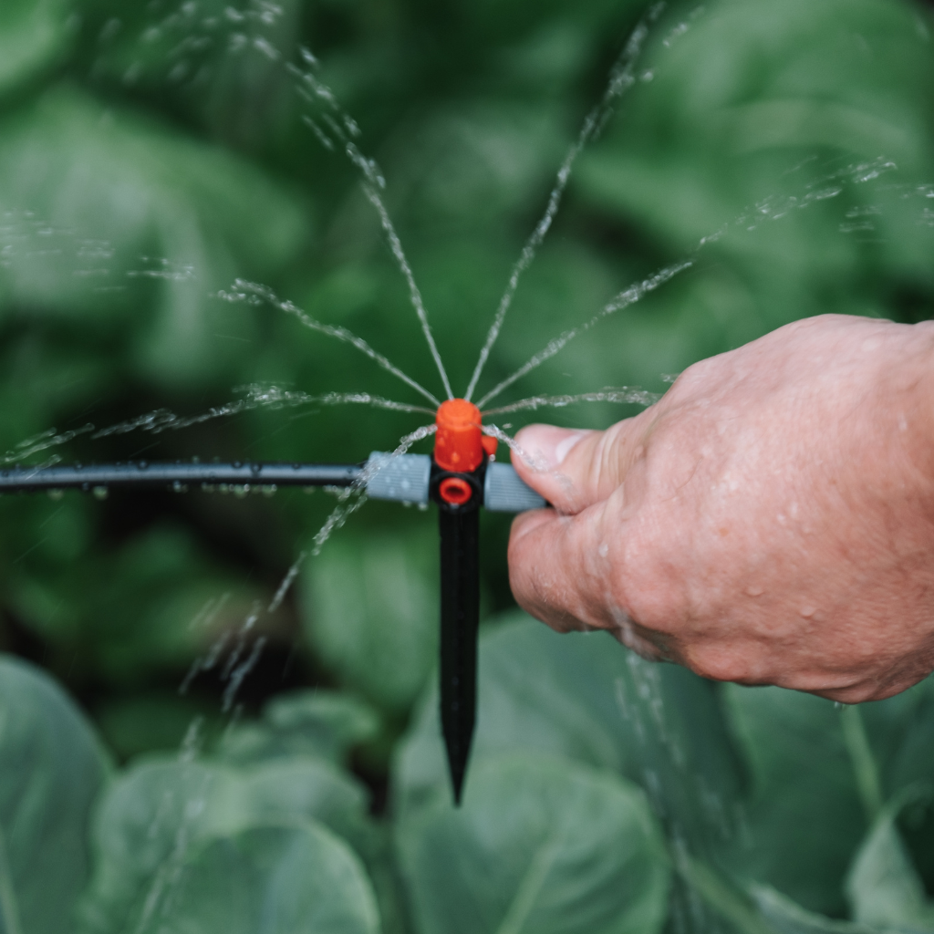 Why Summer is the Right Time to Install Drip Irrigation Systems in Dubai
