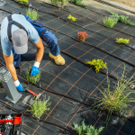 Hydration Hacks: Keeping Your Plants Moist in UAE’s Dry Climate