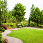 Creating a Low-Maintenance Summer Garden in the UAE: Plants & Design Ideas