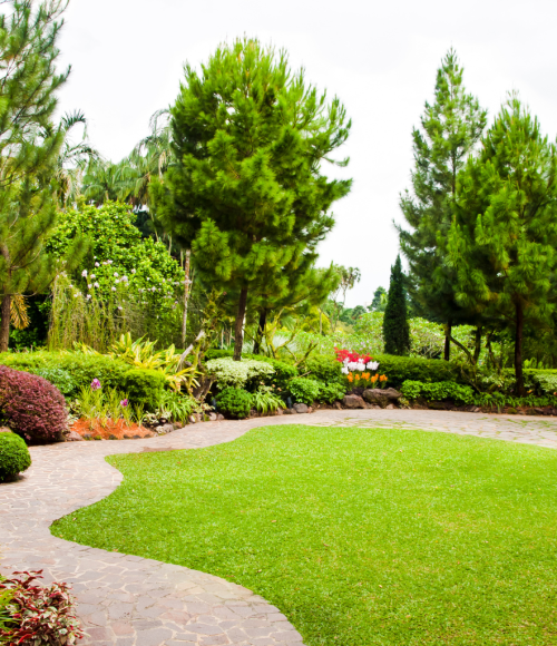 Creating a Low-Maintenance Summer Garden in the UAE: Plants & Design Ideas