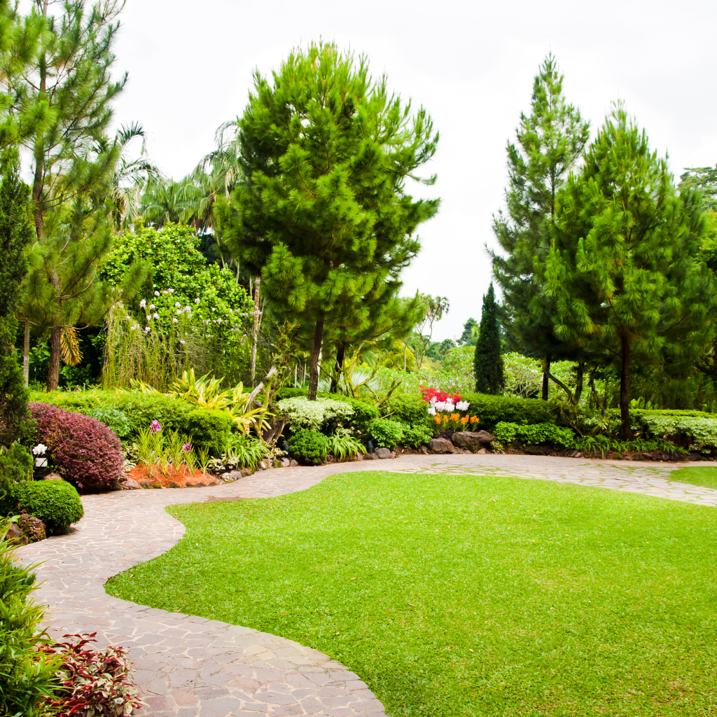 summer-garden-services-uae