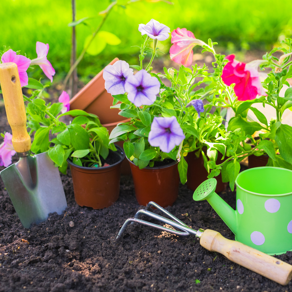 gardening-tools-and-equipments