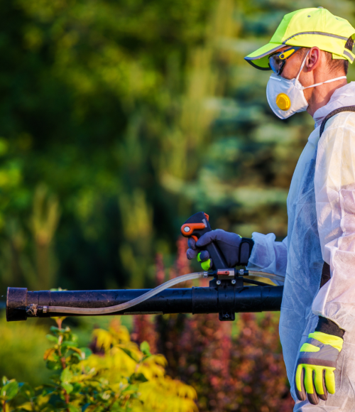 Winter Weed Control Strategies: How Professional Garden Maintenance Makes a Difference