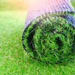 Artificial Grass vs Natural Lawn in Dubai: Cost, Maintenance & Long-Term Benefits