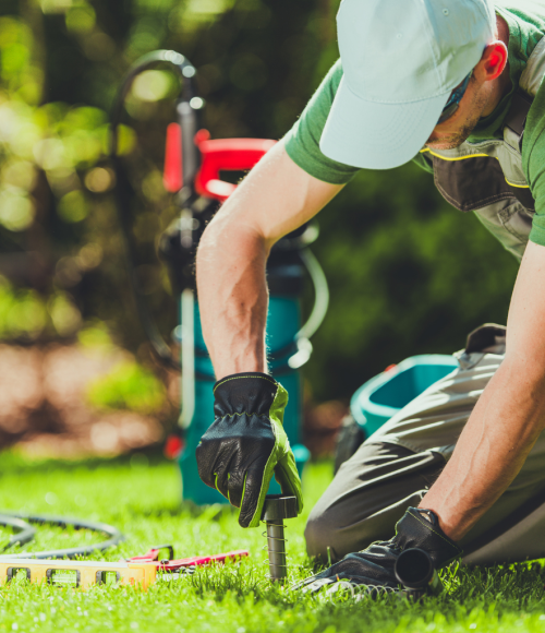 Winter Grazing Lawns: How to Keep Grass Lush Without Overwatering