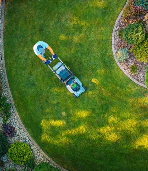 How Professional Garden Maintenance Increases Property Value in the UAE